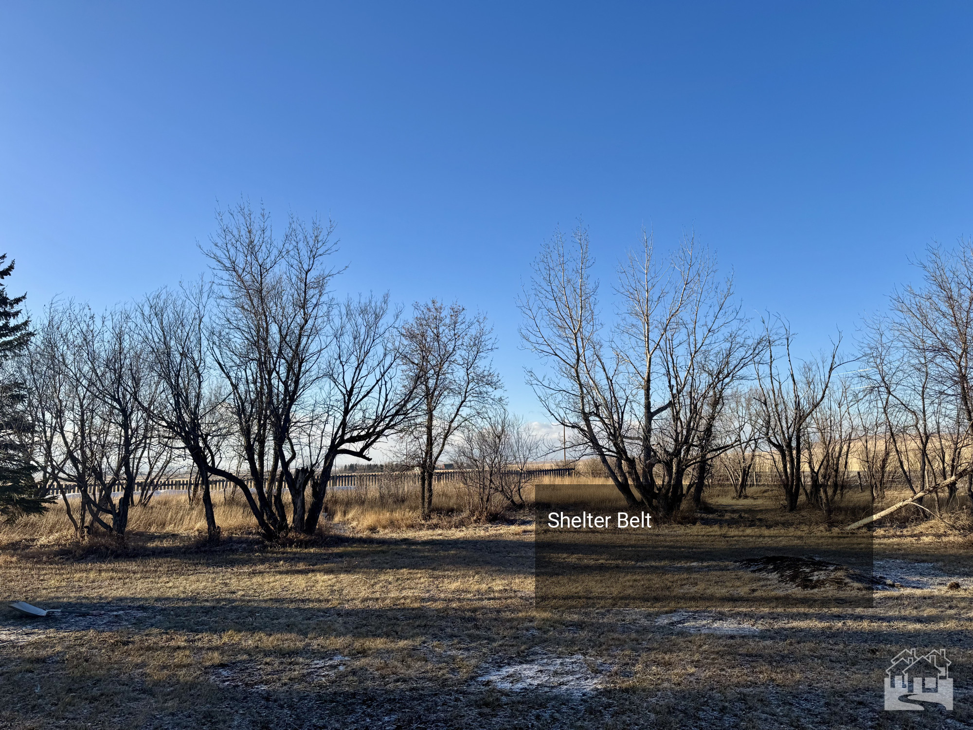 Shelter Belt Key Image