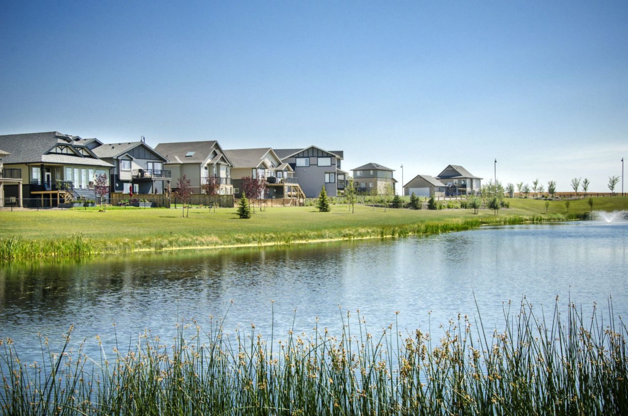 Neighbourhood Cover Shot