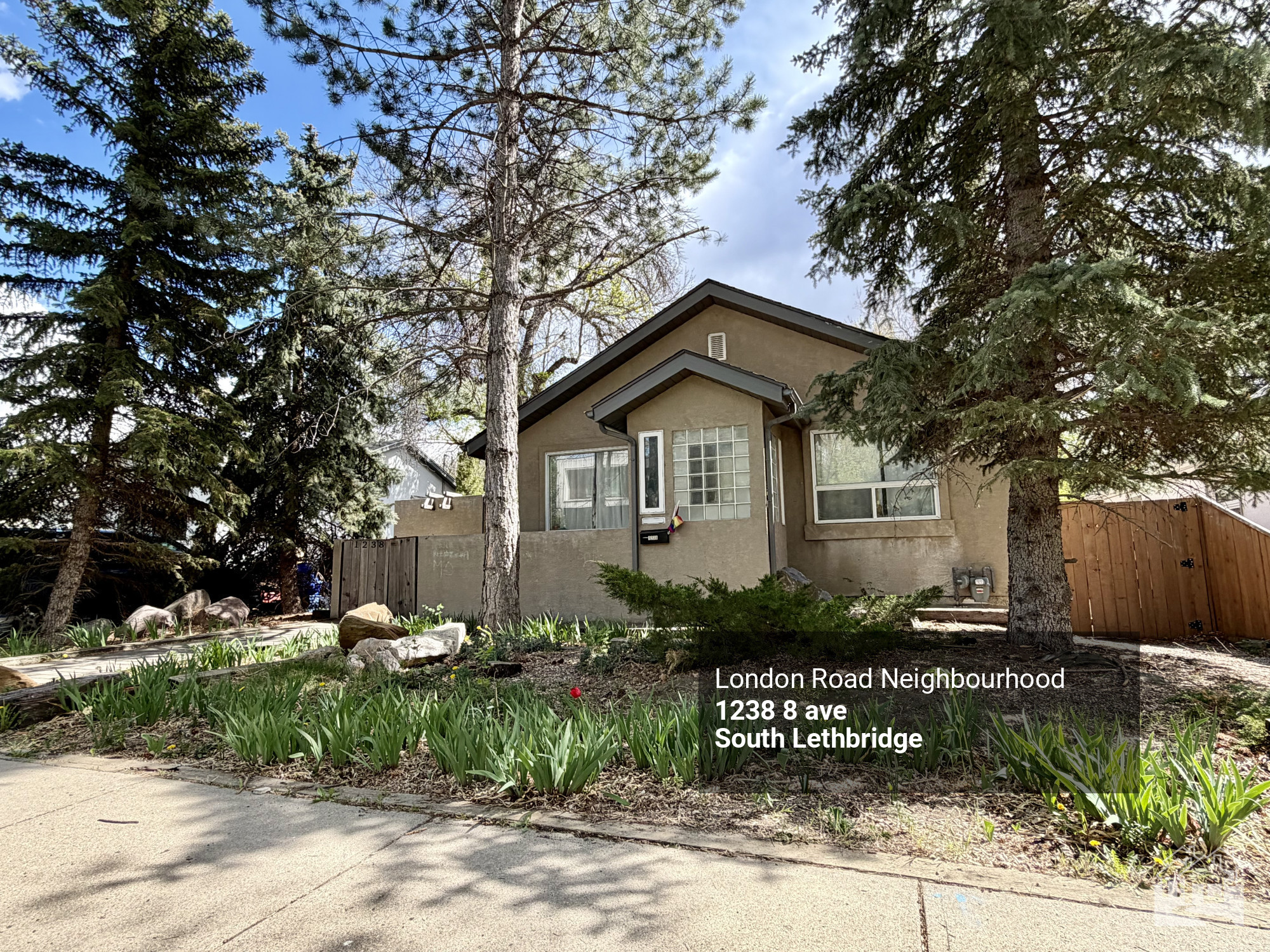 1238 8 ave South Lethbridge (Lower Suite) Cover image