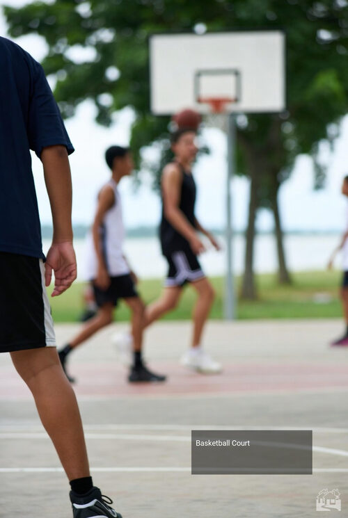 Basketball Court